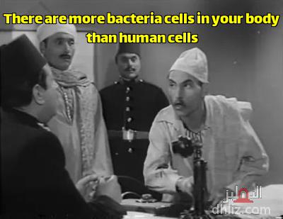 Meme from film: Raya Wa Sakina: Kamel Anwar - Muhammad Elwan - Anwar Wagdi