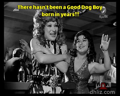 Meme from film: Emtethal: Laila Gamal - Qatqouta
