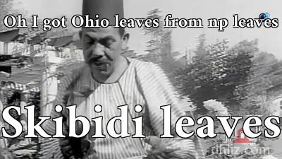 ميم