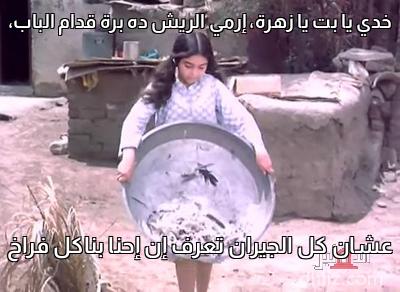 ميم من فيلم: أفواه وأرانب