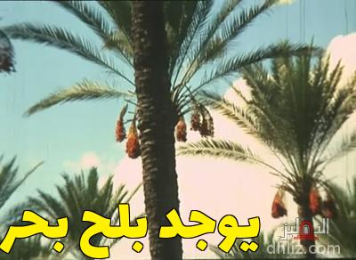 ميم