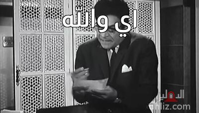 ميم من فيلم مراتي مدير عام